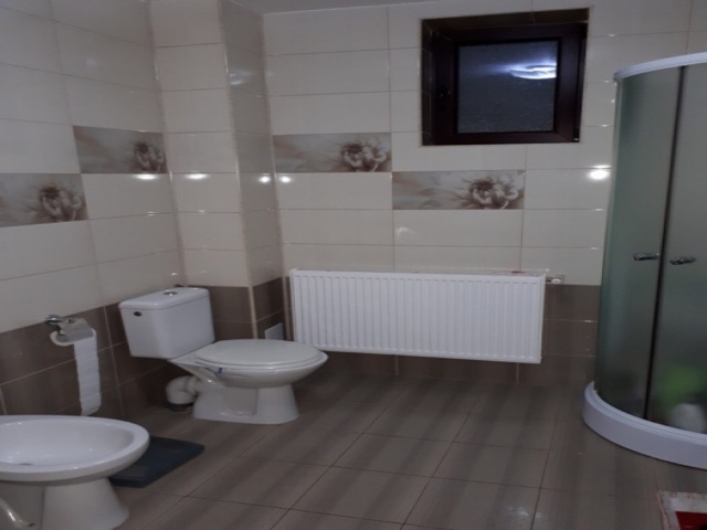 Zona Piata Mare,Botosani,Botosani,Romania,3 Bedrooms Bedrooms,4 Rooms Rooms,1 BathroomBathrooms,Casa / vila,2045